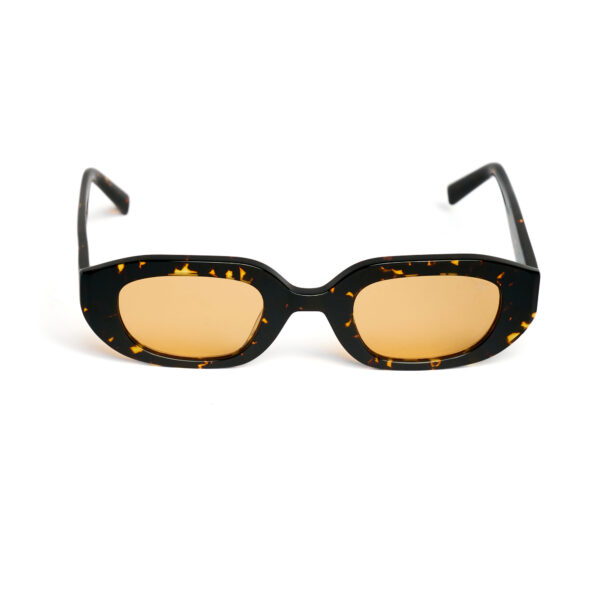 AV Sunglasses - Paris Brown/Orange