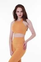 DYNAMIC FLEX PURPLE SPORTS BRA TOP