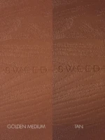 The Bronzing Powder – Golden Medium