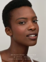 Le Lipstick 90’S MODEL