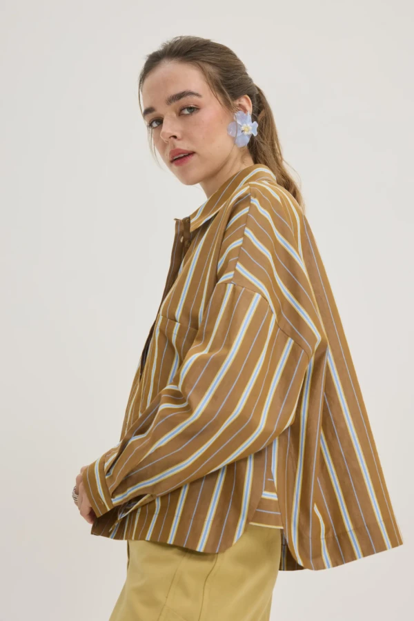 Ριγέ Πουκάμισο