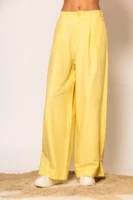 Wide leg pleated pants