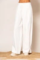 Wide leg pleated pants