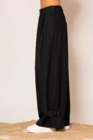 Wide leg pleated pants